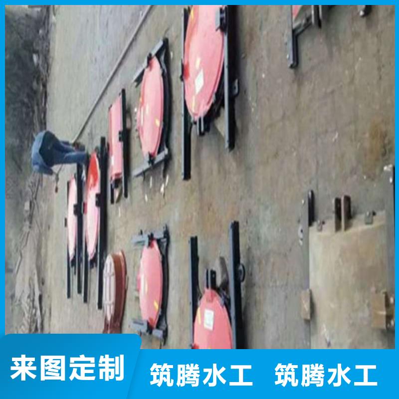机门一体闸门诚信为本同城制造商