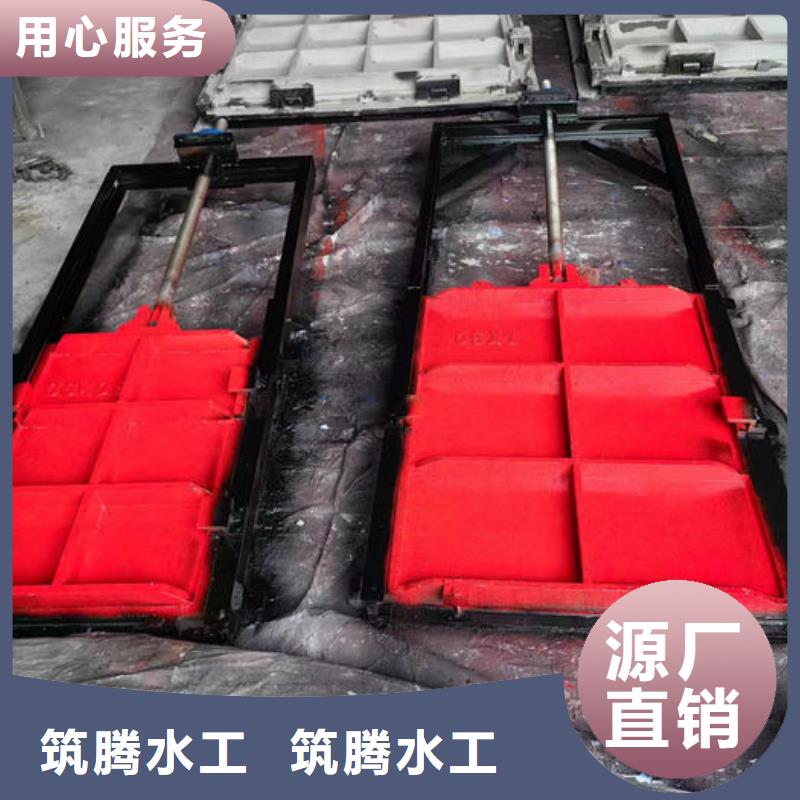 水库铸铁闸门用心经营品质优良