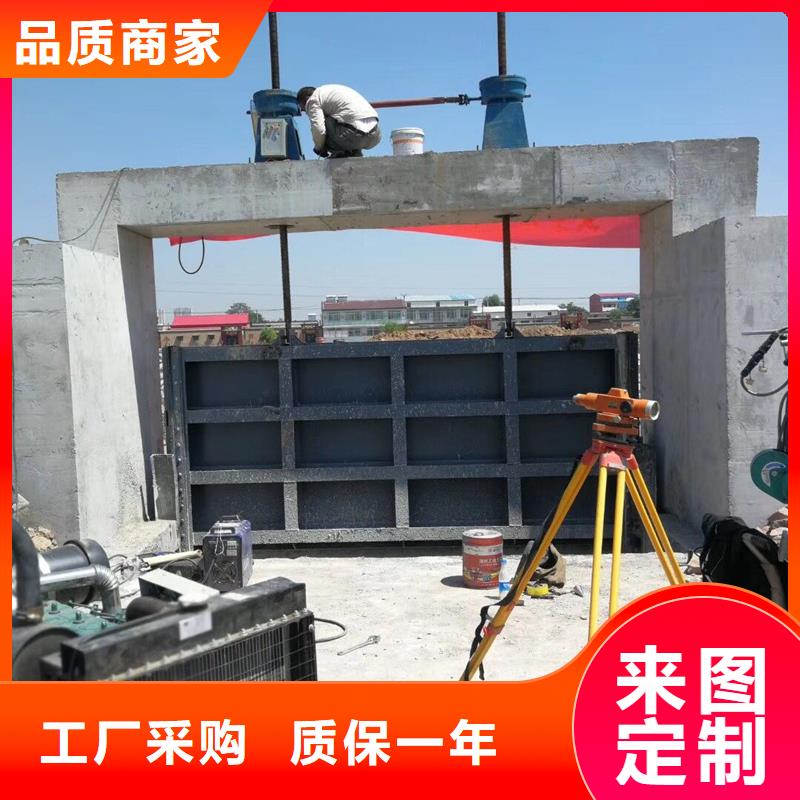 【钢闸门】液压翻板钢坝批发商本地品牌