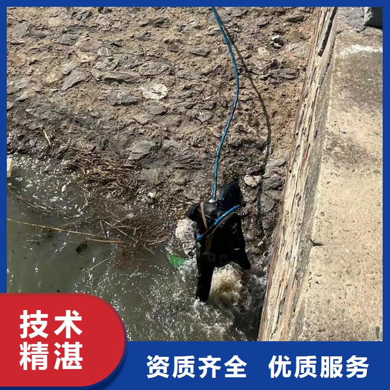 水下摄像科学从业经验丰富