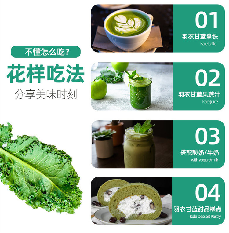 甘蓝粉-您的优选原厂制造