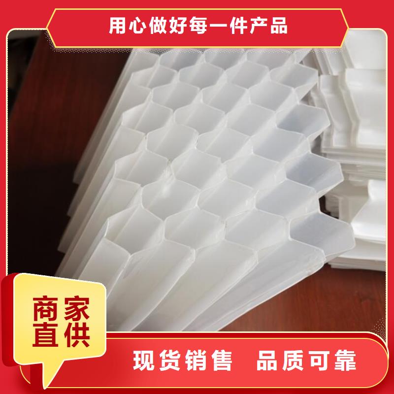 斜管除臭剂实力派厂家用心做产品