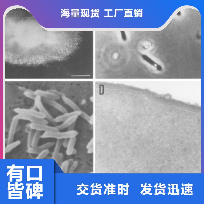 【碳源聚丙烯酰胺货真价实】精工细作品质优良