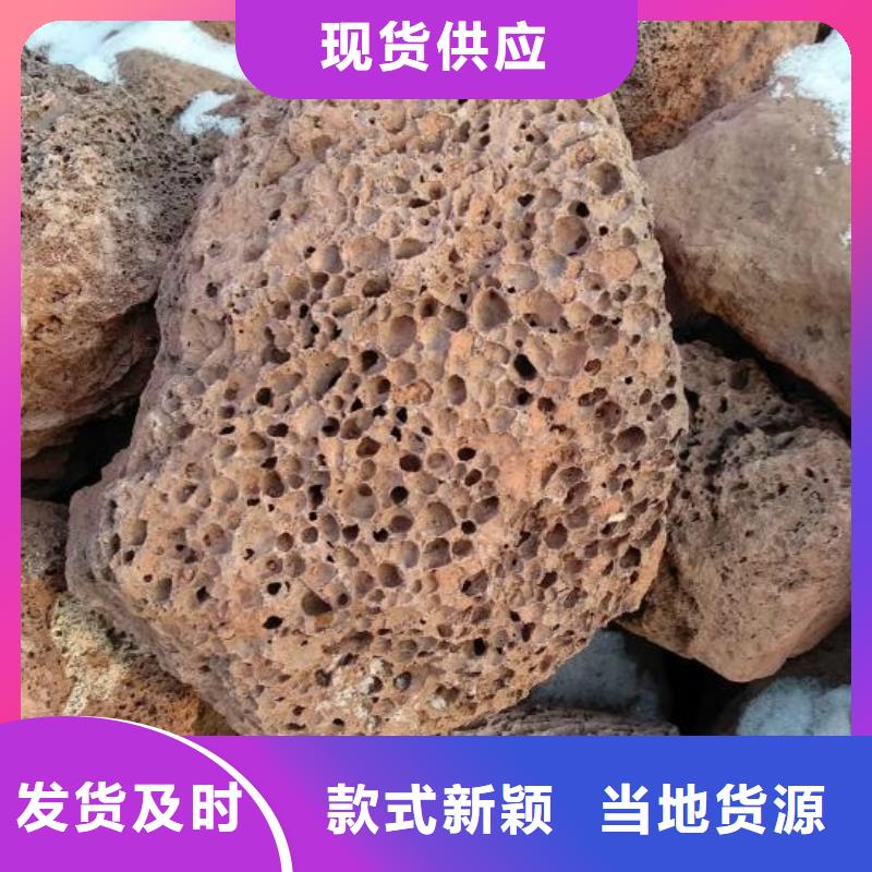 活山岩_粉末活性炭好货有保障N年生产经验
