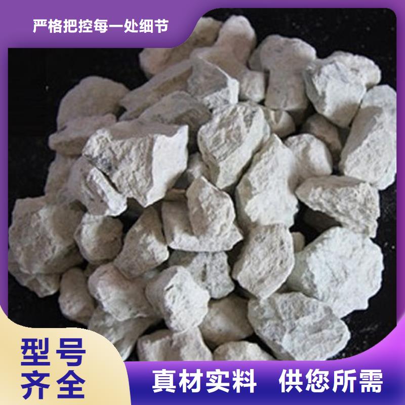 沸石陶粒品质服务厂家采购