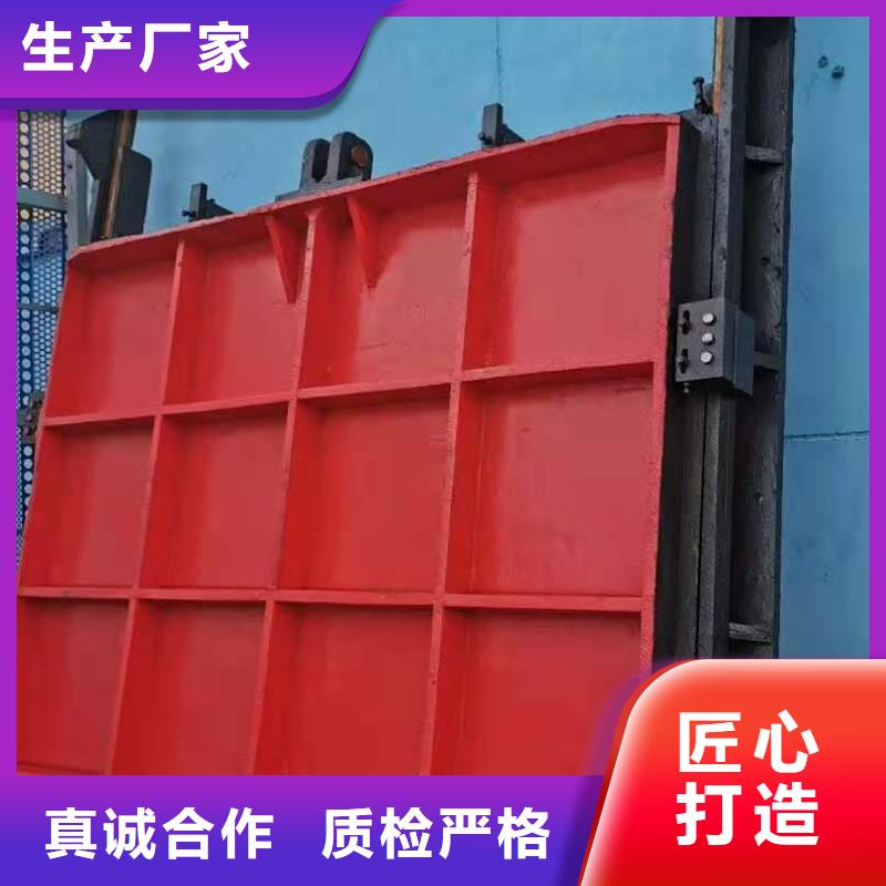 镶铜铸铁闸门可定制同城公司