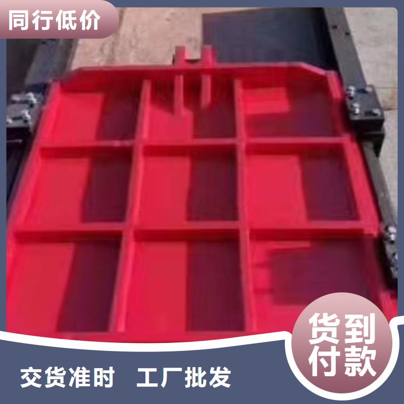 铸铁闸门回转式清污机工程施工案例支持定制贴心售后