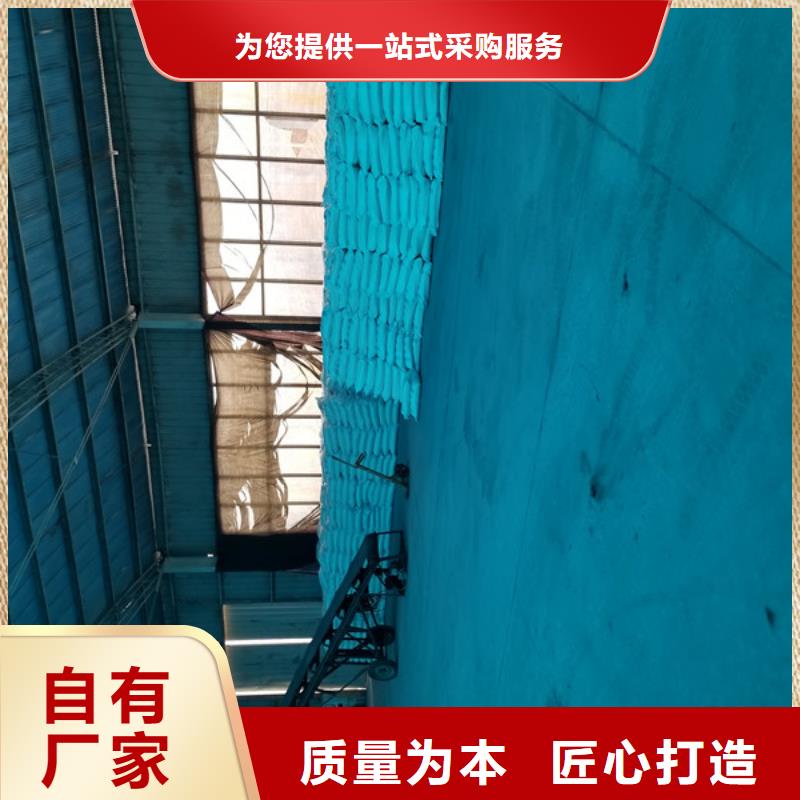 阴离子聚丙烯酰胺复合碳源快速生产工艺成熟
