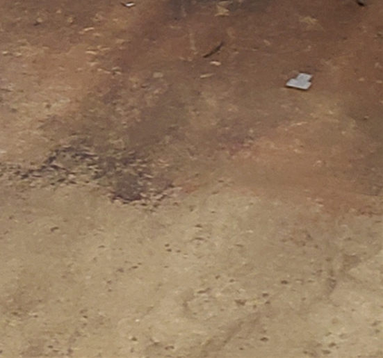 护栏,桥梁护栏厂价格地道当地生产商