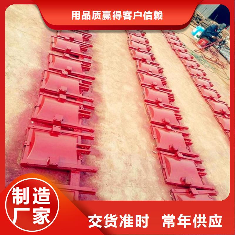 铸铁闸门-拦污栅自有生产工厂当地制造商