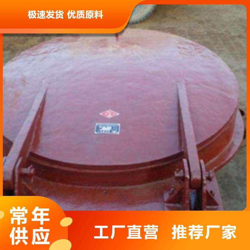 拍门球墨铸铁闸门支持大小批量采购实力见证
