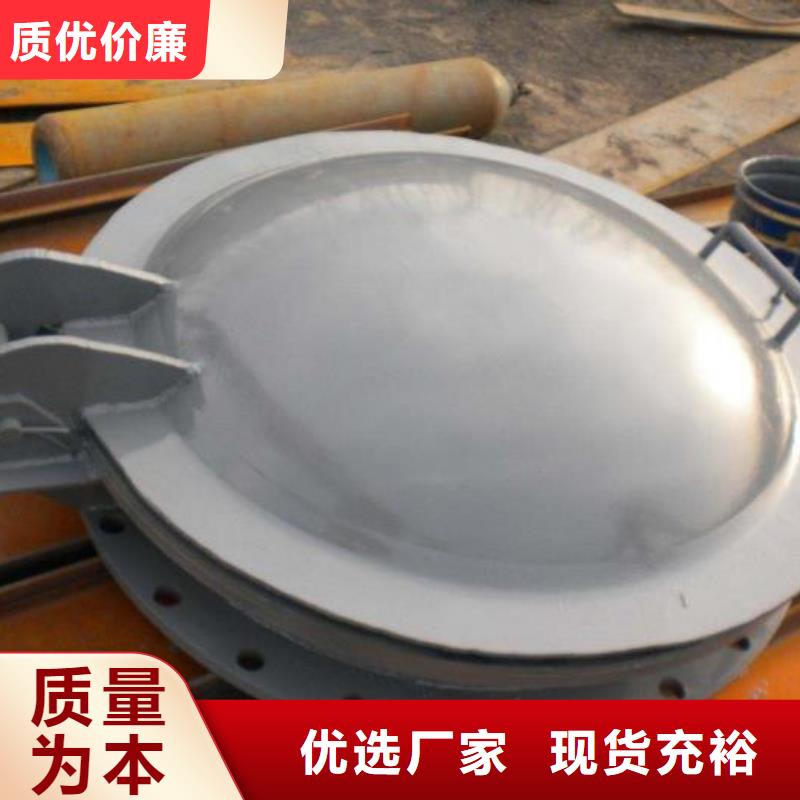 拍门清污机产品性能厂家