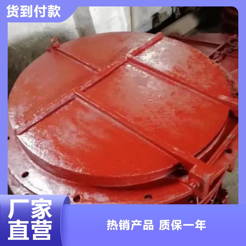 【拍门卷扬启闭机安装简单】多年行业经验