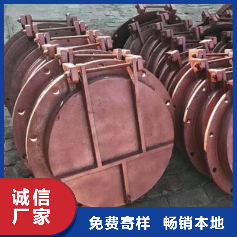 拍门【景观钢闸门】多种规格库存充足本地厂家