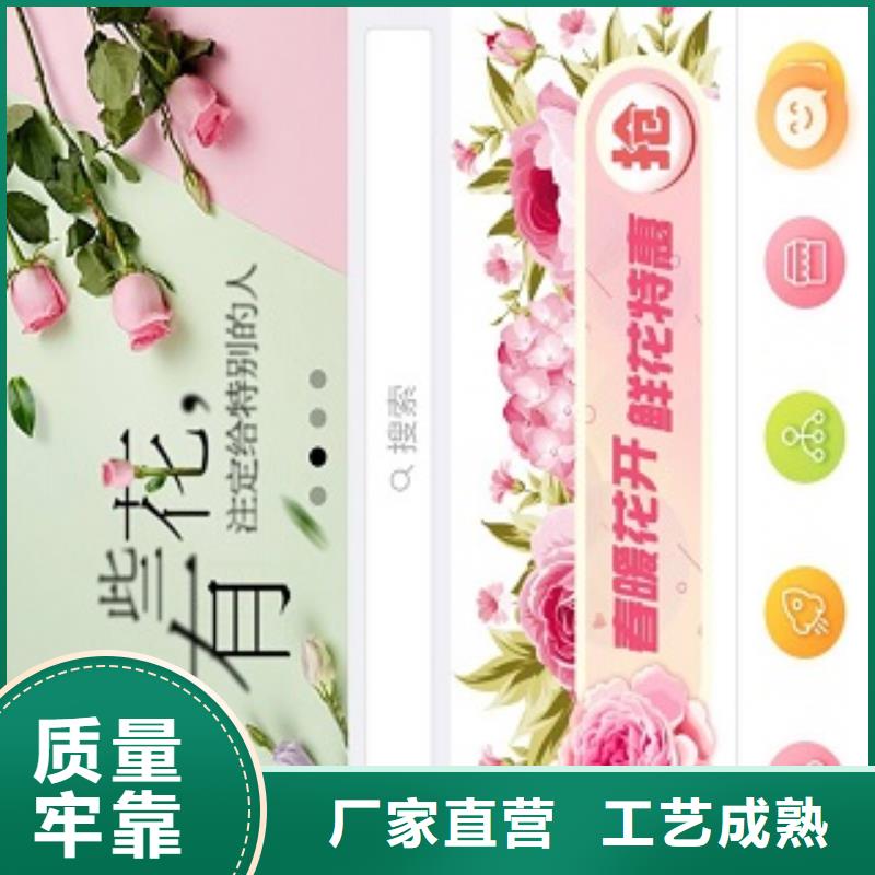 小程序制作小程序运营核心技术精心