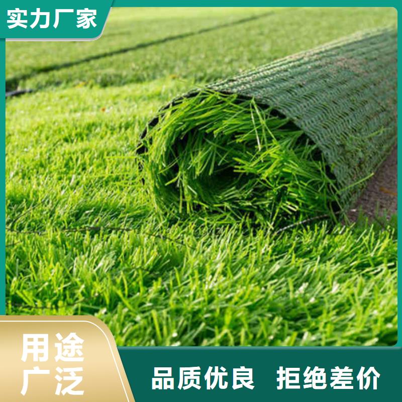 人造草坪产品性能免费安装