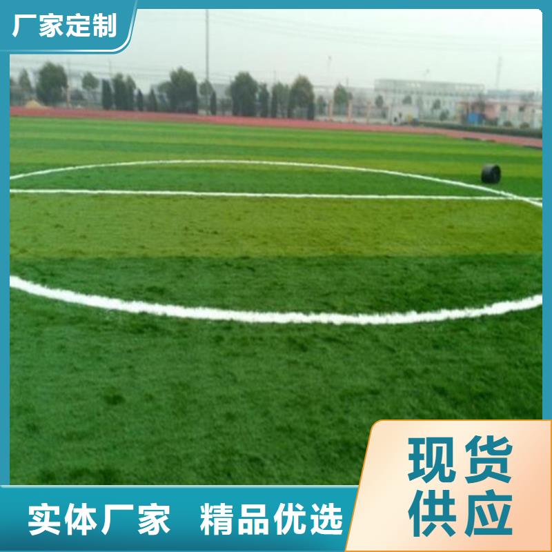 人造草坪塑胶跑道多种规格可选优质材料厂家直销