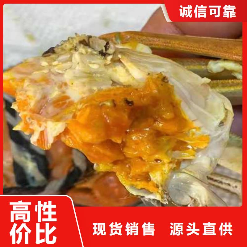莲花岛阳澄湖大闸蟹哪里正宗同城生产厂家