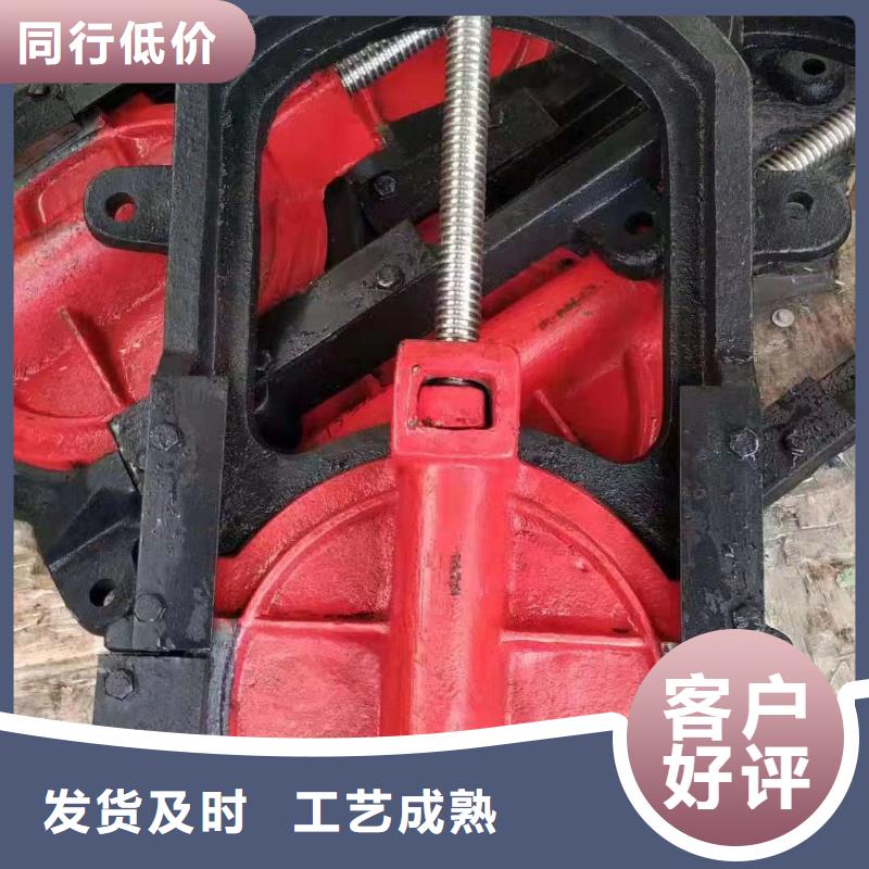 管道铸铁闸门[厂家销售]厂家十分靠谱