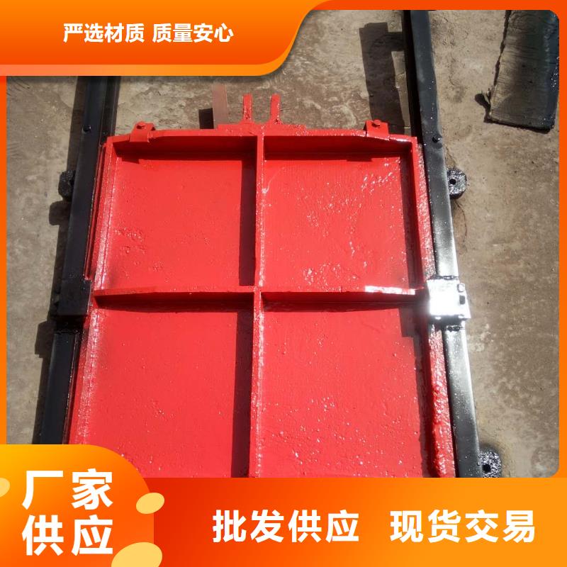 双向铸铁镶铜闸门本地货源