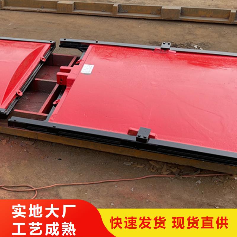 闸门启闭机-铸铁镶铜附壁闸门智能产地直供