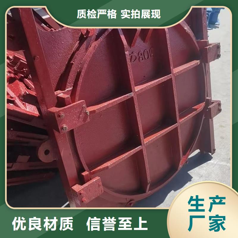 闸门启闭机-PZ机闸一体式铸铁闸门智慧水利价格有优势