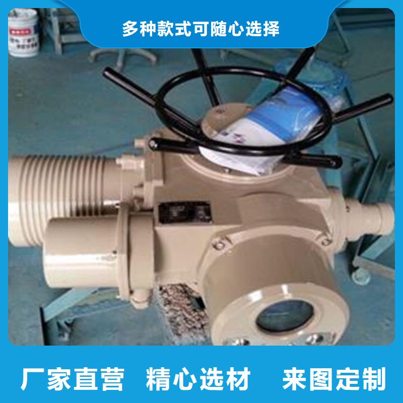 启闭机闸门手轮螺杆启闭机提供一站式解决方案当地公司
