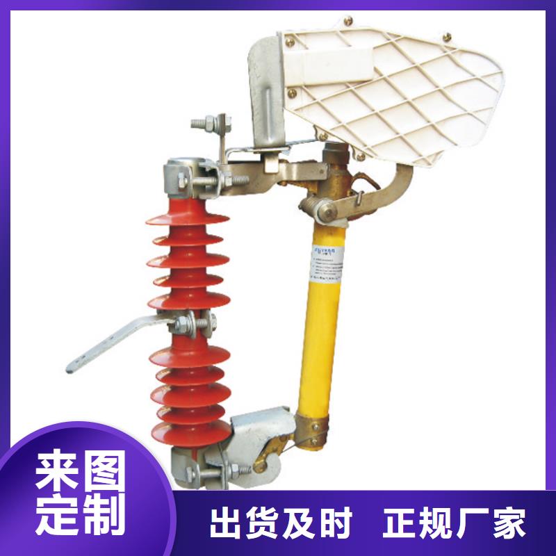 熔断器_金属氧化物避雷器N年生产经验同城制造商