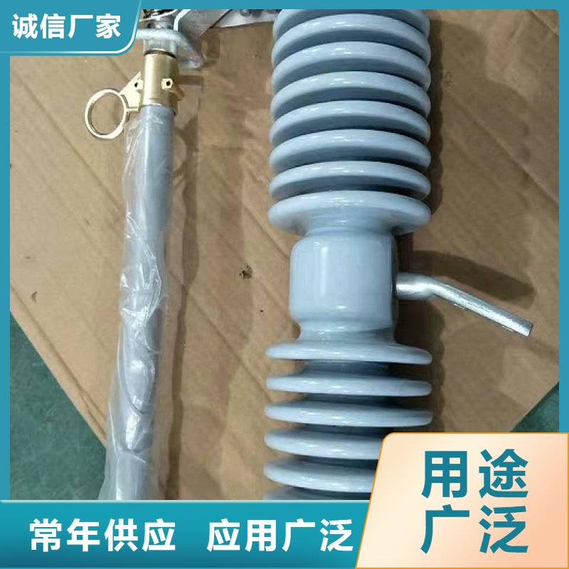 熔断器绝缘子N年大品牌当地公司