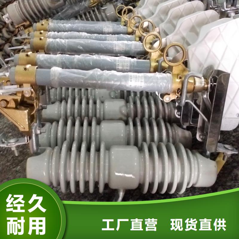 熔断器复合绝缘子实地大厂打造行业品质