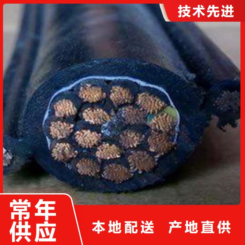 ​特种电缆-屏蔽电缆厂家型号齐全随心所欲定制