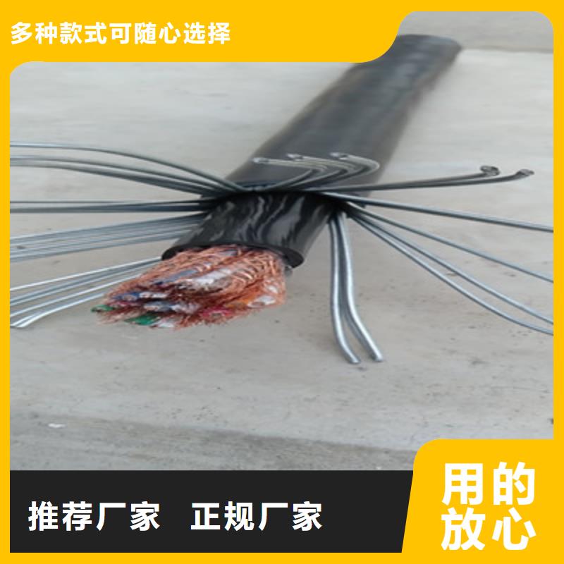 计算机电缆,煤矿用阻燃信号电缆工厂现货供应厂家售后完善