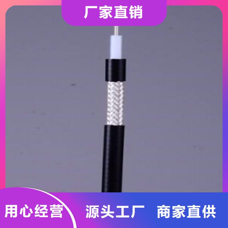 【射频同轴电缆铁路信号电缆好品质用的放心】多年厂家可靠