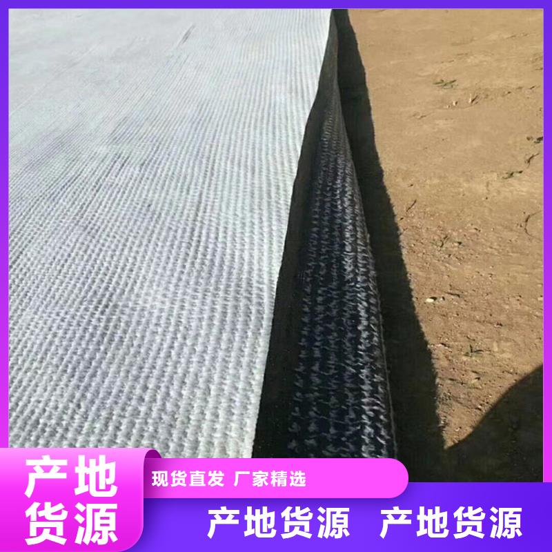 膨润土防水毯_土工布精选厂家好货分类和特点