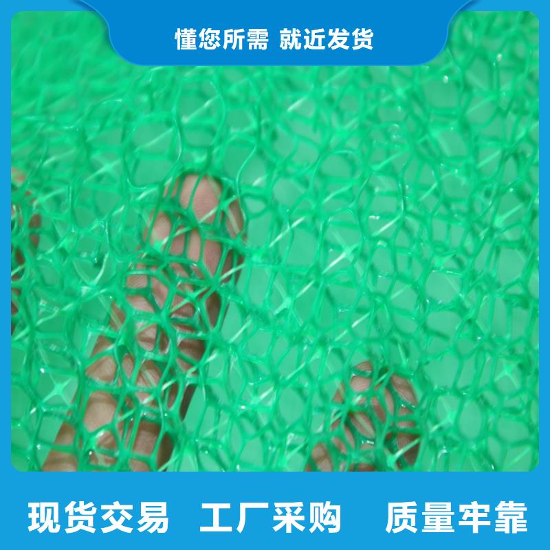 三维植被网土工膜库存齐全厂家直供当地制造商