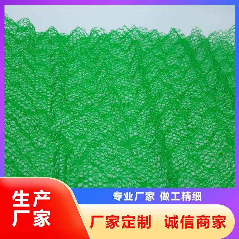 三维植被网土工格栅品质优选质量为本