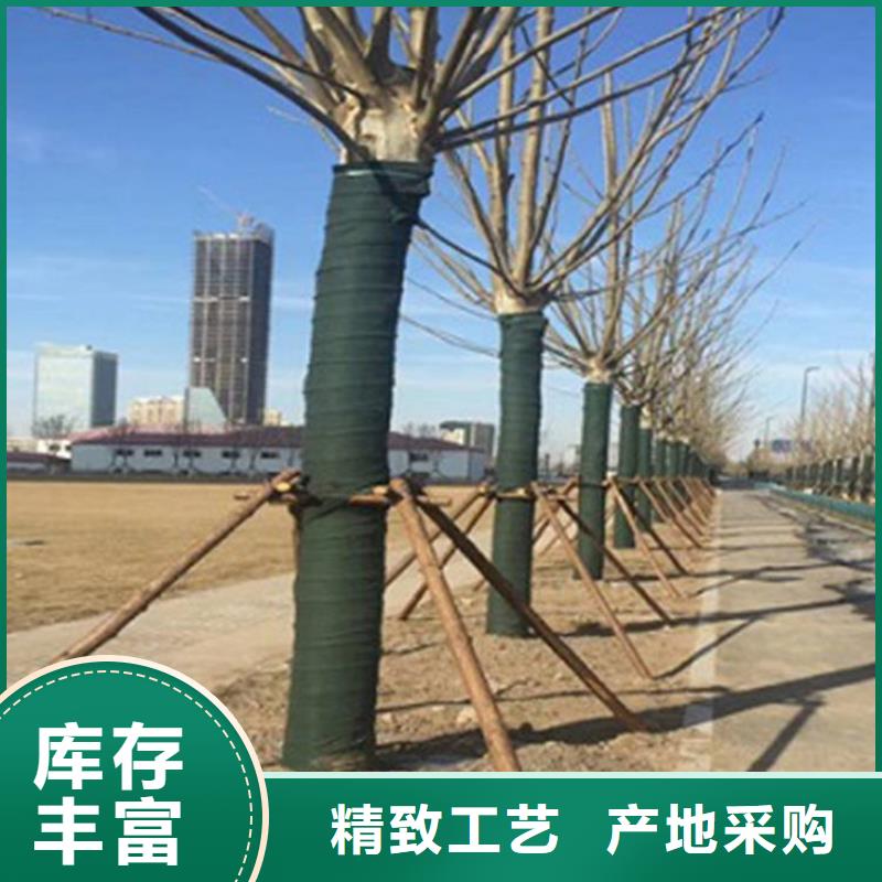 裹树布_【塑料盲沟】服务始终如一检验发货