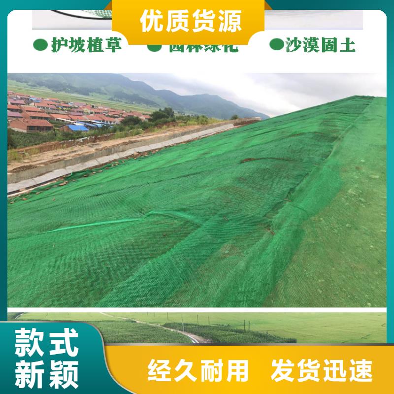 三维植被网土工膜现货销售本地供应商