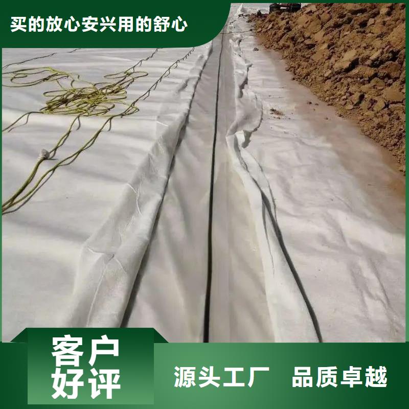 土工布聚丙烯纤维厂家直营同城厂家