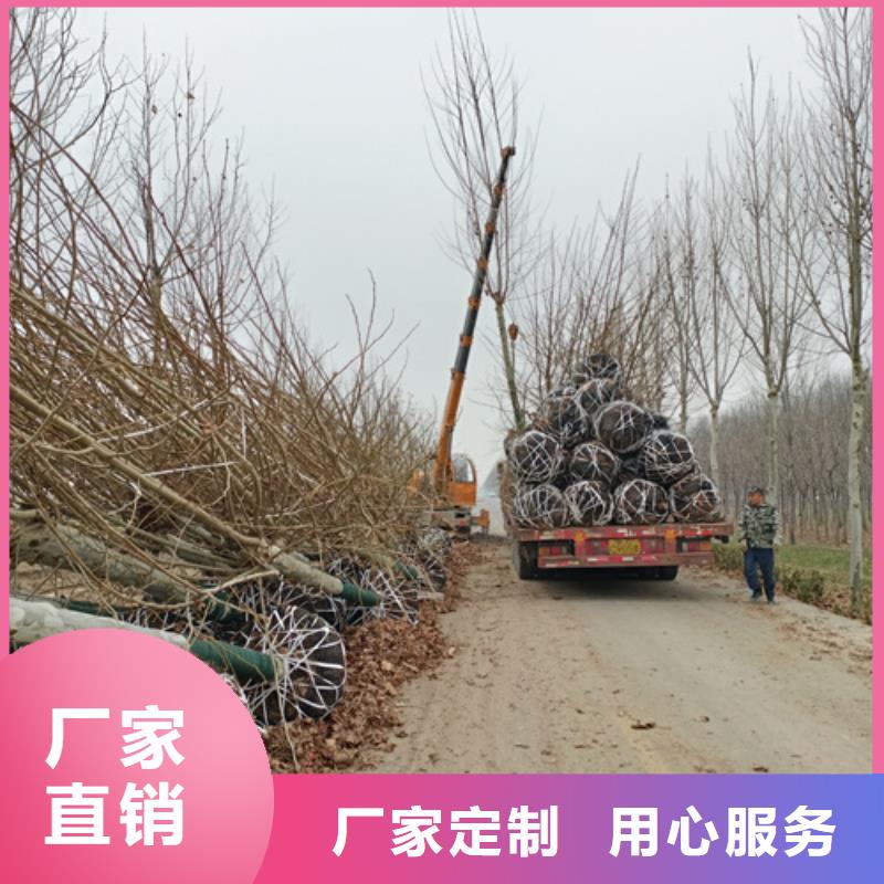 法桐一站式供应厂家直销售后完善