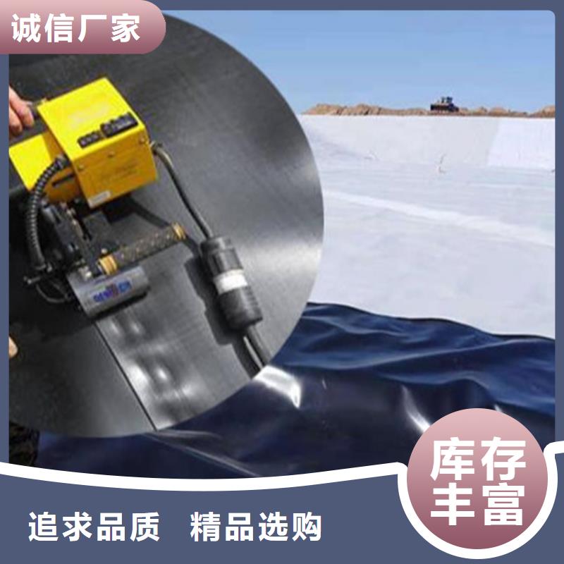 土工膜-玻璃纤维土工格栅厂家技术完善源头直供