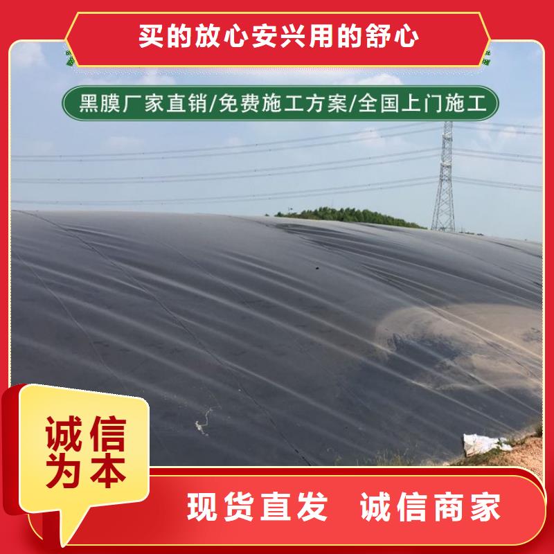 土工膜-土工布一件也发货同城生产厂家