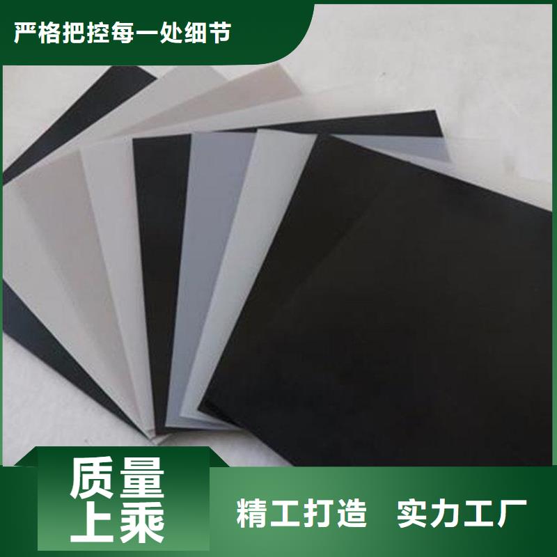 土工膜防渗膜匠心打造本地生产厂家