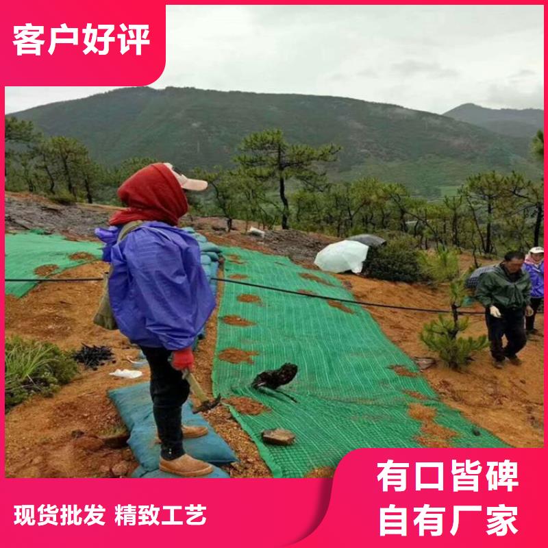 椰丝毯【土工布】甄选好物本地制造商