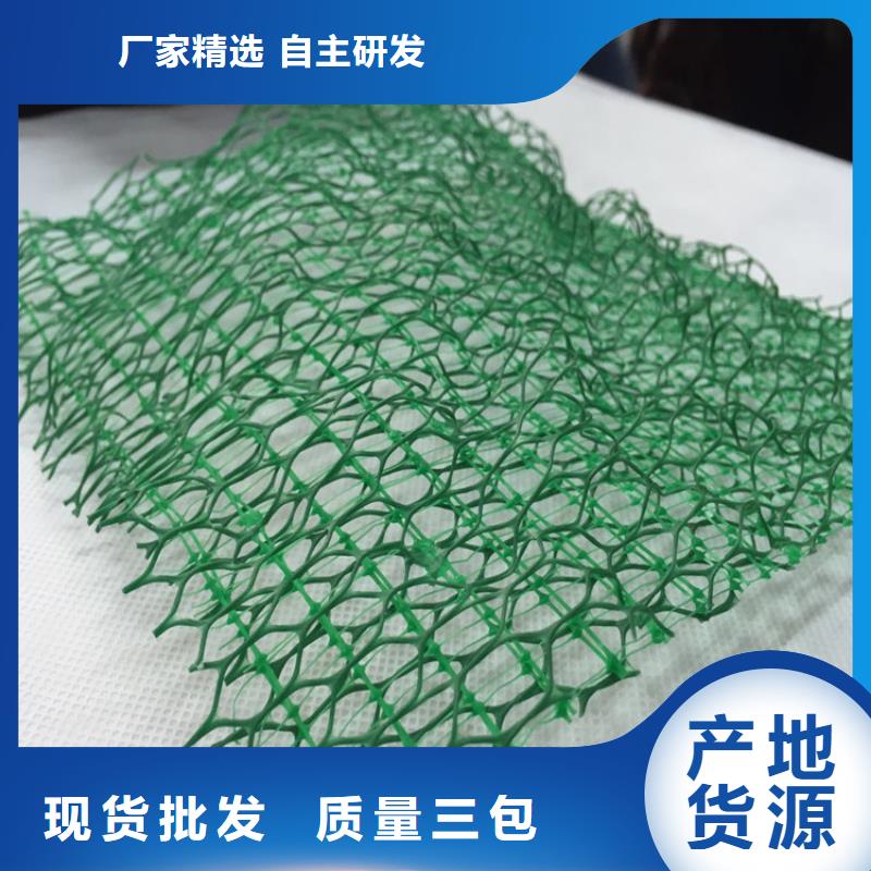 【三维植被网抗裂贴欢迎来厂考察】本地经销商