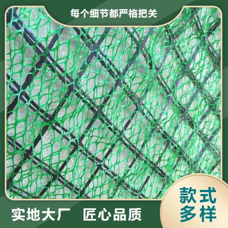 三维植被网严谨工艺当地生产厂家