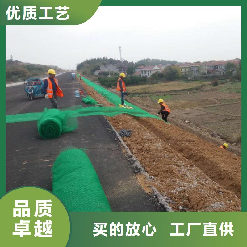 三维植被网土工布产品性能严选材质