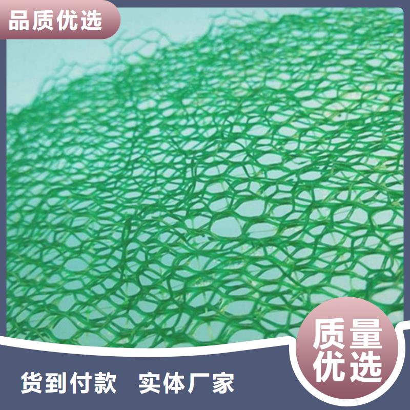 三维植被网,防水板快速发货合作共赢