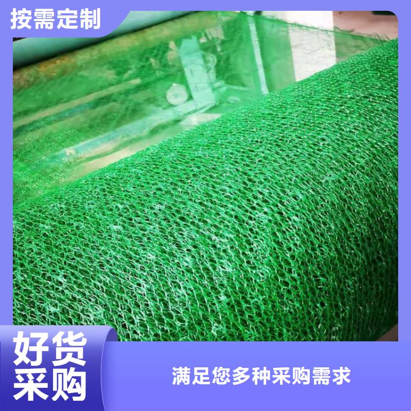 三维植被网钢塑格栅0中间商差价多年行业经验