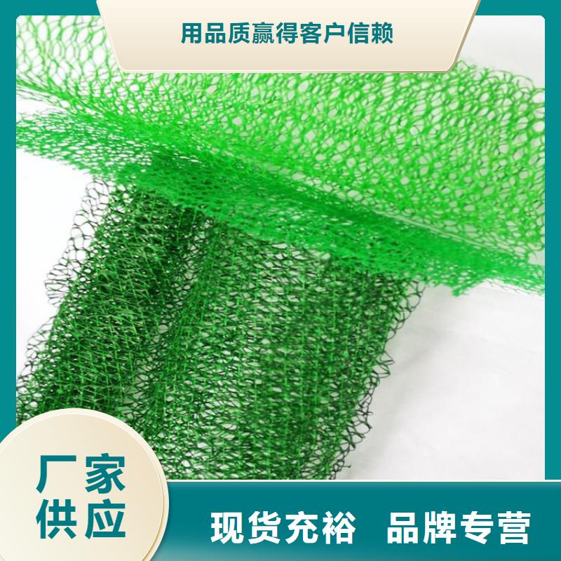 【三维植被网通风降噪丝网定制批发】使用寿命长久